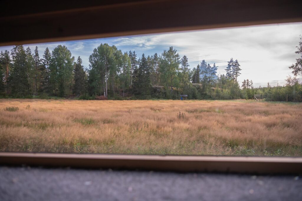En äng med skog i bakgrunden.